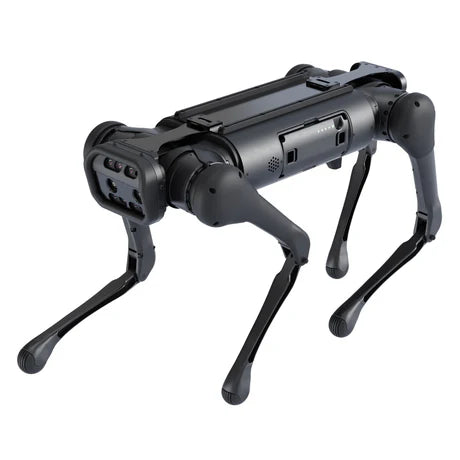 Aliengo - Remote Robotic