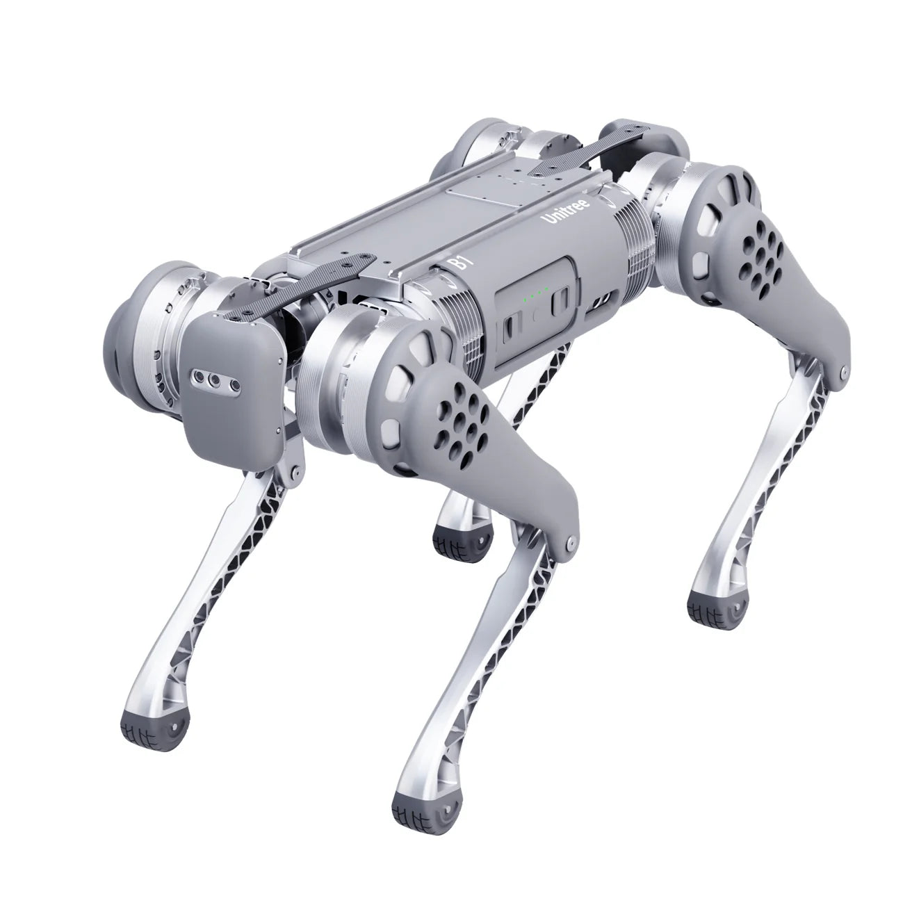 B1 - Remote Robotic