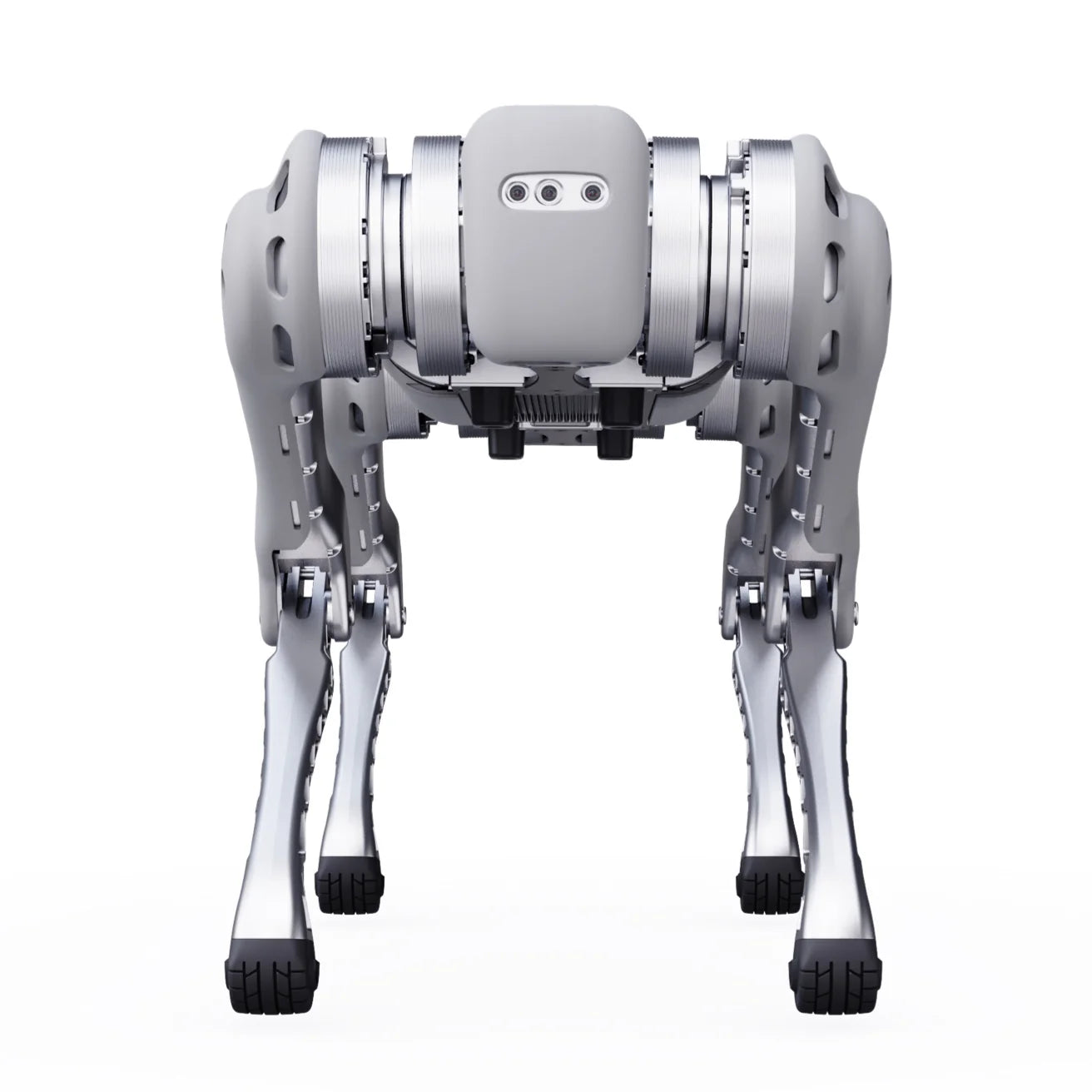 B1 - Remote Robotic