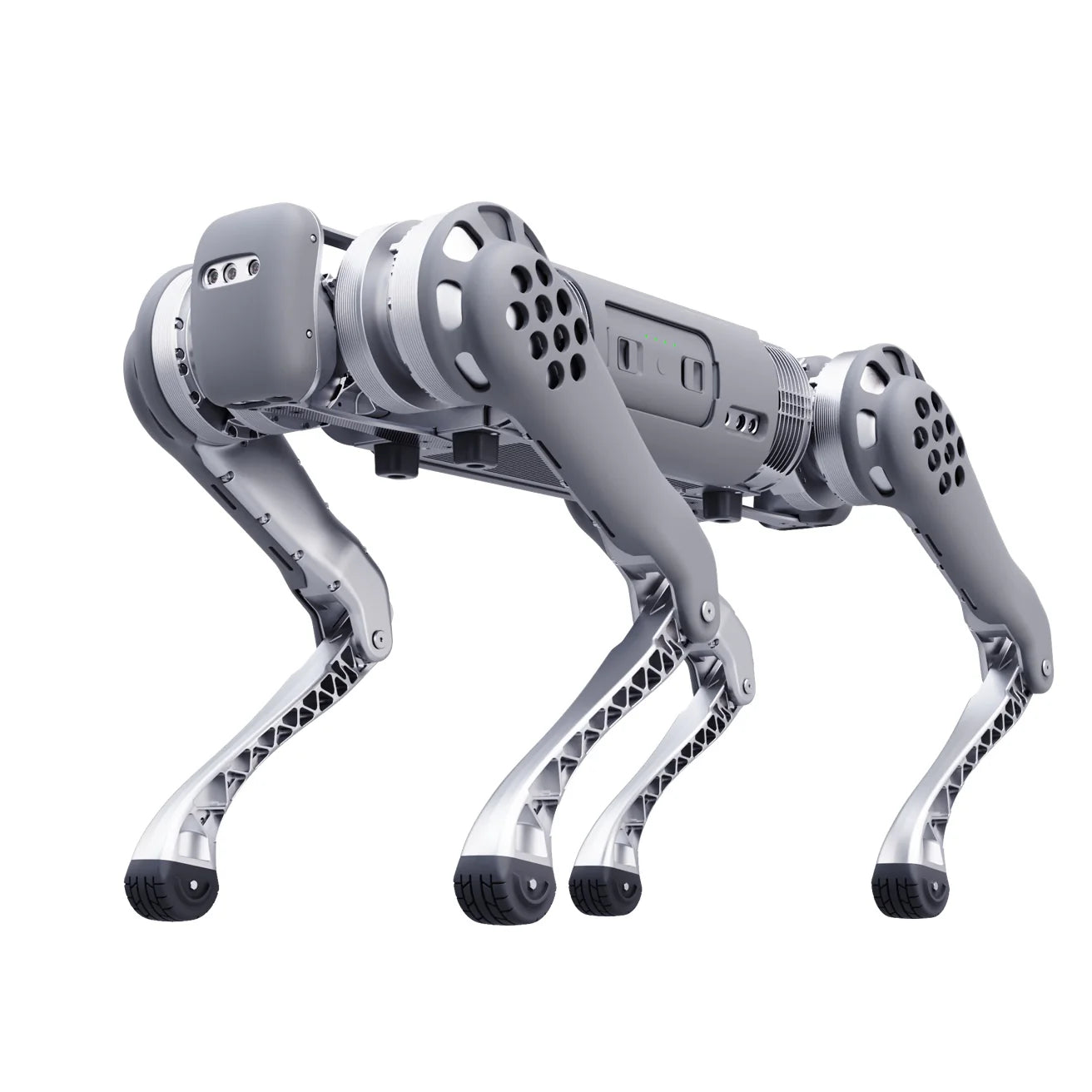 B1 - Remote Robotic