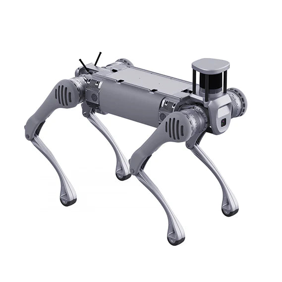 B2 - Remote Robotic