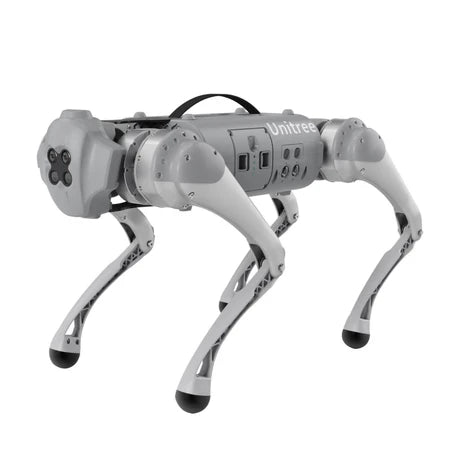 Go1 - Remote Robotic