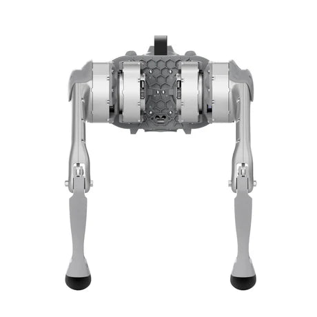 Go1 - Remote Robotic