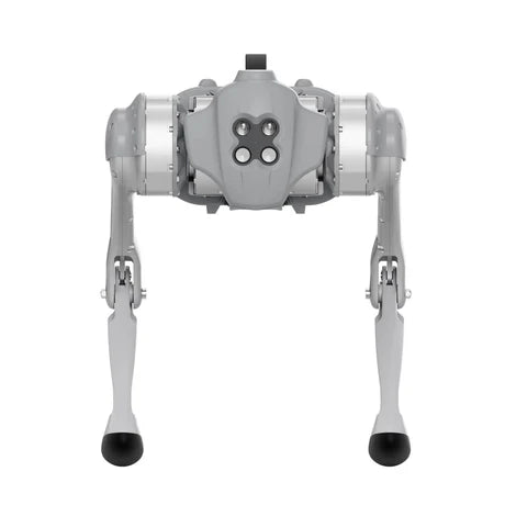 Go1 - Remote Robotic