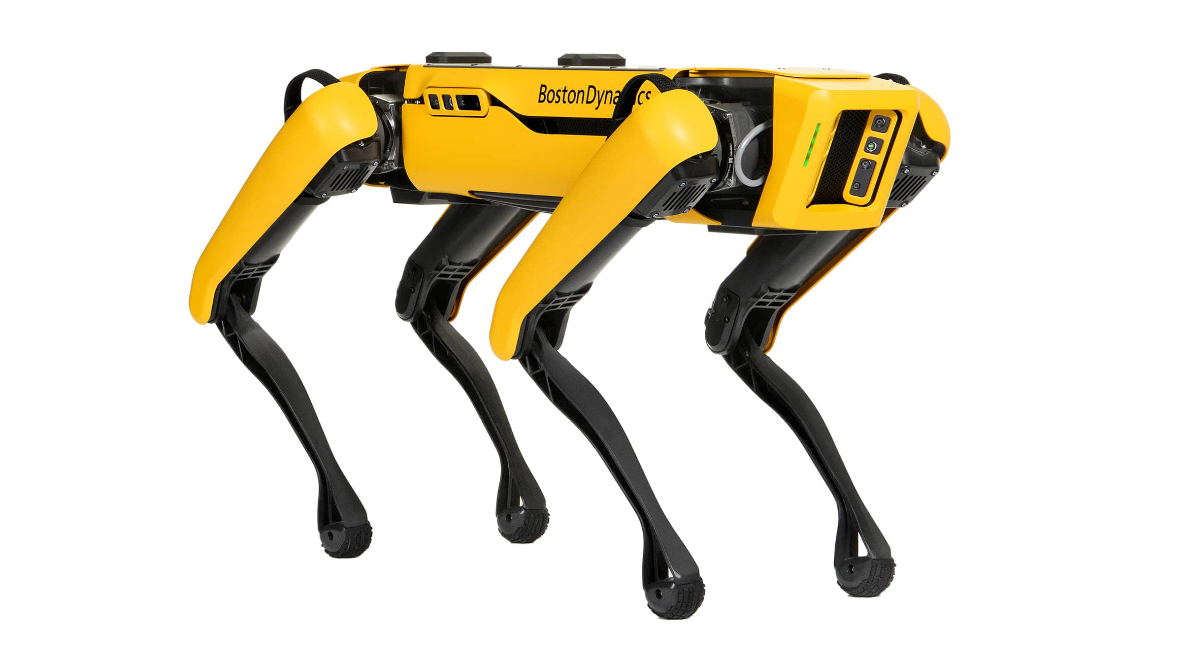 Spot - Remote Robotic
